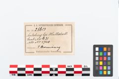 Etikett zu Bronzearmreif (NHMW-PRAE-025613)
